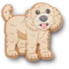 „B’golden Doodle Puppy Jibbitz-Schuhanhänger“ „B’golden Doodle Puppy Jibbitz-Schuhanhänger“