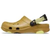 Classic Clog Crocs Beach „Green“