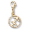 Jibbitz-Anstecker „Schütze“